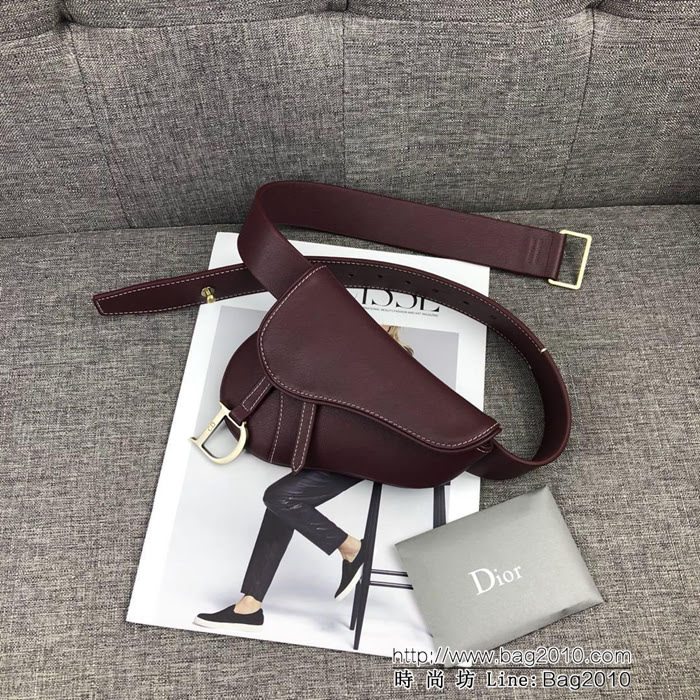 DIOR迪奧 Vintage Saddle Bag馬鞍小腰包  zdo1239